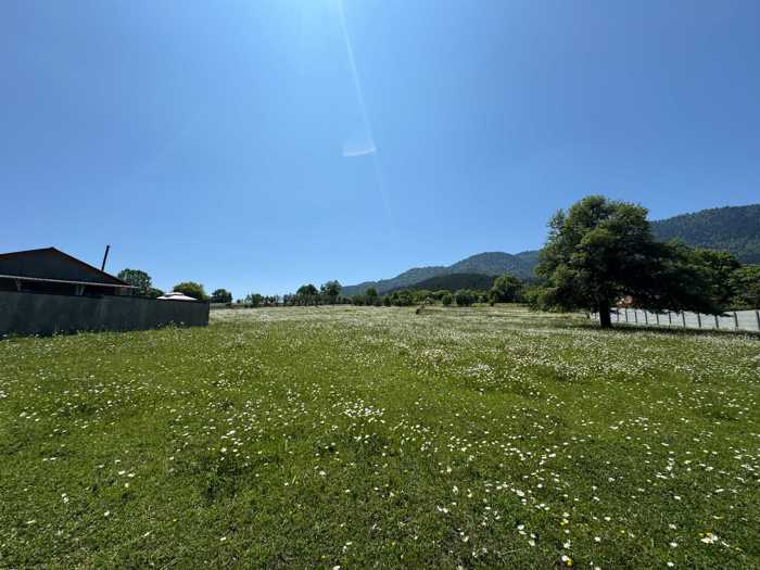 Thumbnail for Georgian land parcel in Mzetamze Borjomi Municipality / Tsaghveri area, image 2