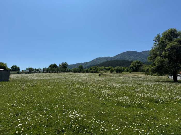 Thumbnail for Georgian land parcel in Mzetamze Borjomi Municipality / Tsaghveri area, image 7