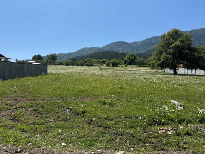 Thumbnail for Georgian land parcel in Mzetamze Borjomi Municipality / Tsaghveri area, image 8